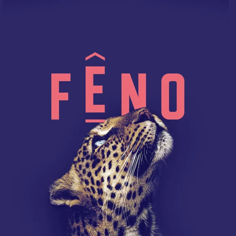 Identité animée du festival FENO