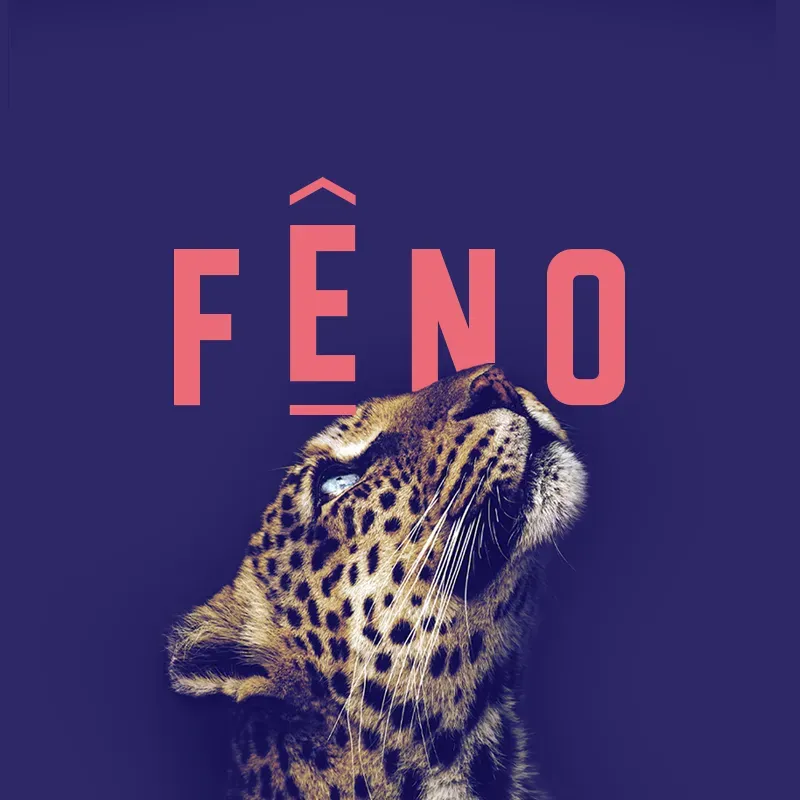 Visuel du projet FENO, Festival de l'Excellence Normande, réalisé par Unik Studio pour la Région Normandie